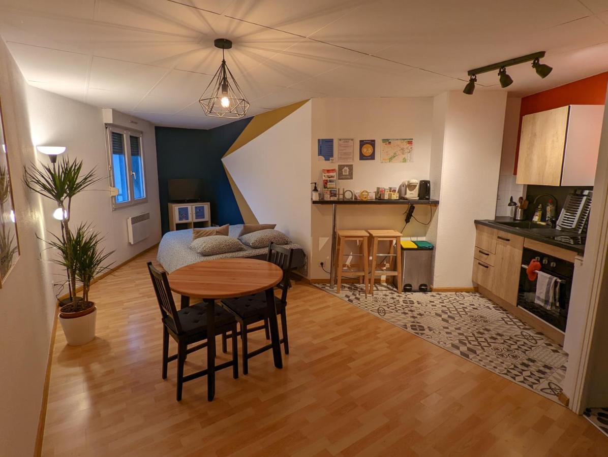 Ton Petit Studio - Le 62 - Coeur De Ville Мюлуз Экстерьер фото