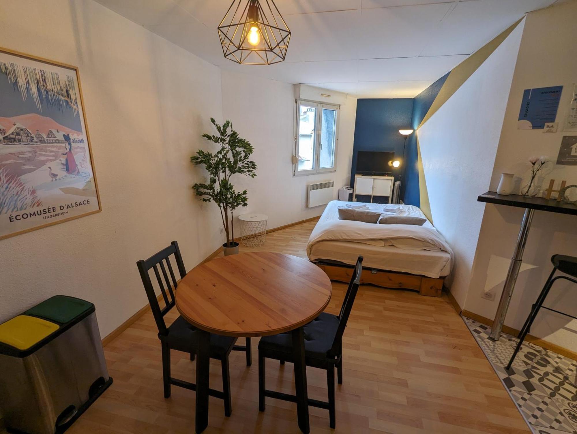 Ton Petit Studio - Le 62 - Coeur De Ville Мюлуз Экстерьер фото